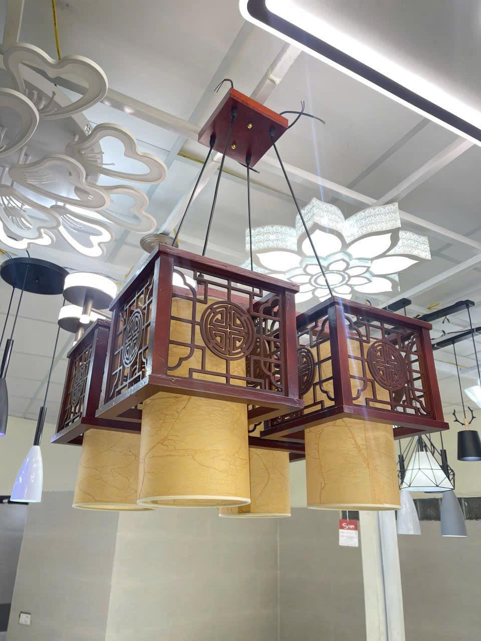 503914986_2915791718598503_7579935911706704543_n